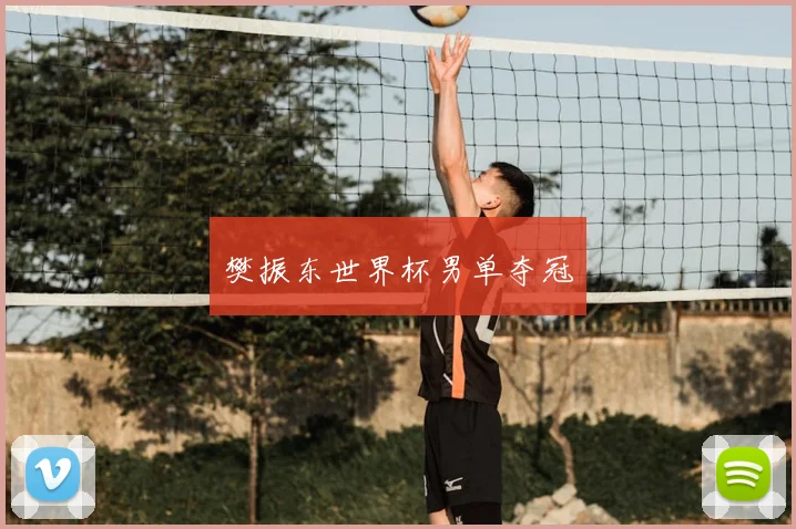 樊振东世界杯男单夺冠