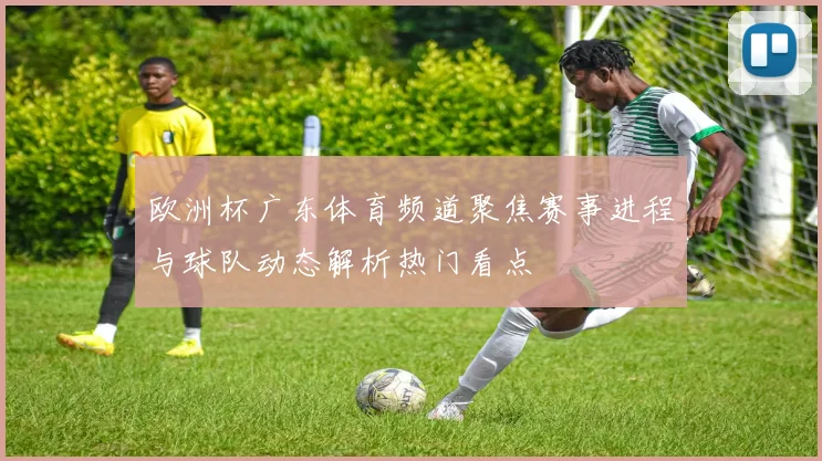 欧洲杯广东体育频道聚焦赛事进程与球队动态解析热门看点