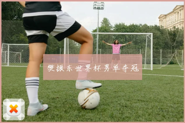 樊振东世界杯男单夺冠